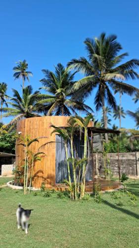 Κήπος έξω από το Coconut Tree hill Rekawa