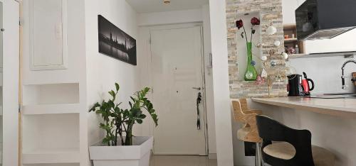 eine Küche mit einer Theke und eine Tür mit einer Pflanze in der Unterkunft Appartement moderne à Nice, 50 m² avec balcon in Nizza