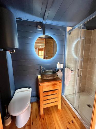 une salle de bain avec toilettes, lavabo et douche dans l'établissement Le Spirit, Chalet 2 personnes, à Lucinges