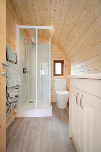 a bathroom with a shower and a toilet at Luxury Glamping Pod - Garthside Farm Holidays in Brampton