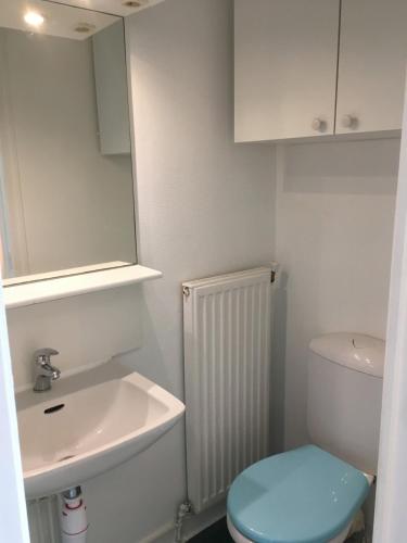 une salle de bain avec un lavabo, des toilettes et un miroir dans l'établissement Charmant appartement ancien, lit 160, au Mans