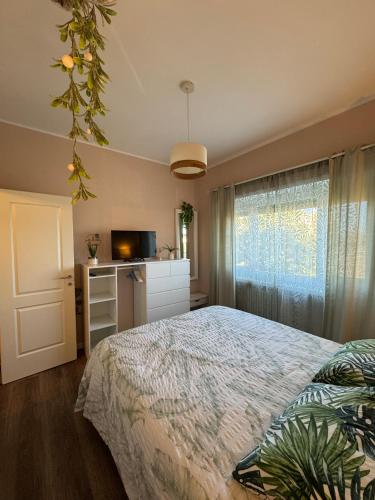 Monstera House Roma Trastevere