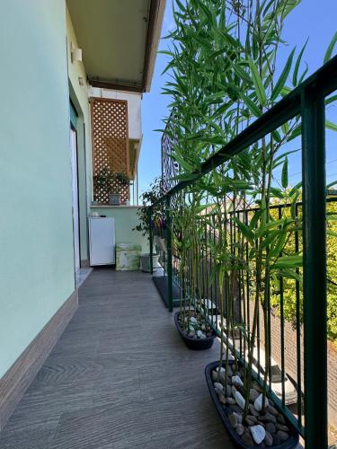 Monstera House Roma Trastevere