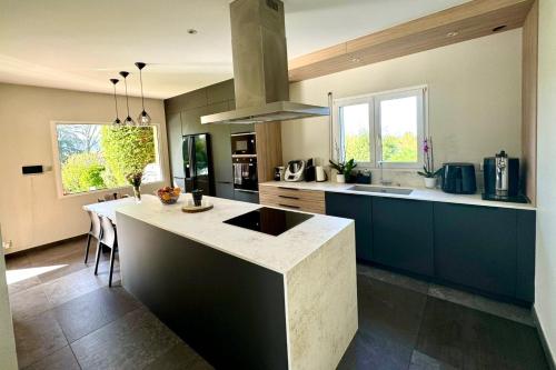 une cuisine avec un grand îlot au milieu dans l'établissement Villa Birdie - Belle maison avec piscine, à Cailloux-sur-Fontaines