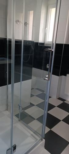 a glass shower in a bathroom with a black and white floor at Aparthotel Praha in Prague