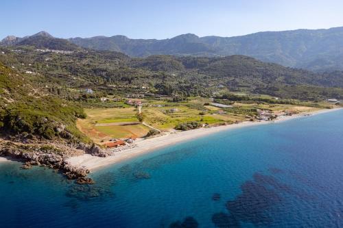 an aerial view of a beach and the ocean at Svala SeaView beach house in Samos