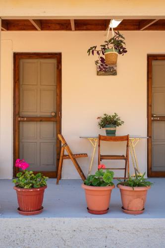 four potted plants sitting inront of a house at Svala SeaView beach house in Samos