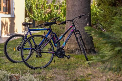 two bikes are parked next to a tree at Luxury Mansion Rhodes in Ialyssos