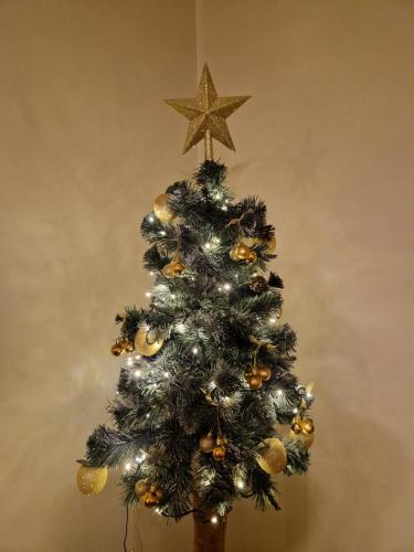 a christmas tree with a star on top of it at Willa Rodzinna in Tylicz