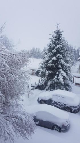 a car covered in snow next to a christmas tree at Willa Rodzinna in Tylicz
