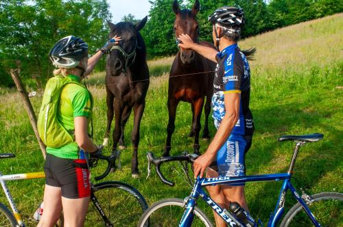 two people with bikes and a horse behind a fence at Bed & Breakfast Zeleni Kut in Gornji Zvečaj