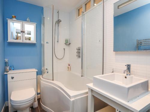 a bathroom with a toilet and a sink and a shower at 34 Wexham Street in Beaumaris