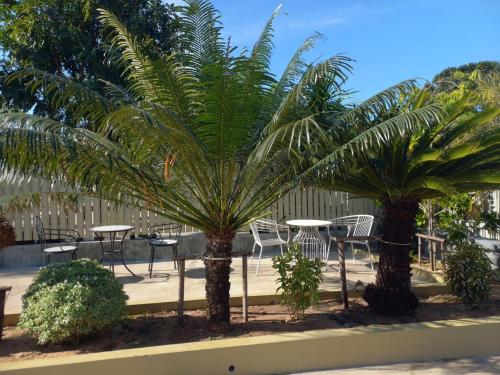 two palm trees and tables and chairs in a courtyard at โรงแรม เดอะกรีนนิช รีสอร์ท in Surin