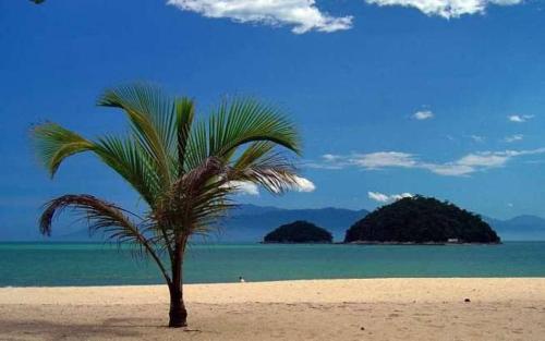 a palm tree on a beach with islands in the water at Pousada Meraki Beach in Caraguatatuba