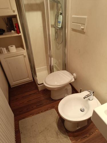 a bathroom with a toilet and a shower and a sink at L'appartamento pianoterra in Gallio