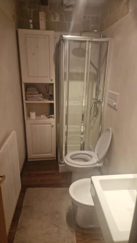 a bathroom with a toilet and a shower and a sink at L'appartamento pianoterra in Gallio