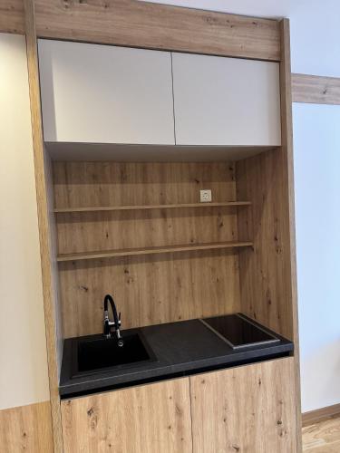 a kitchen with a sink in a wooden cabinet at Apartman A55 Aparthotel Vučko privatni apartman in Jahorina