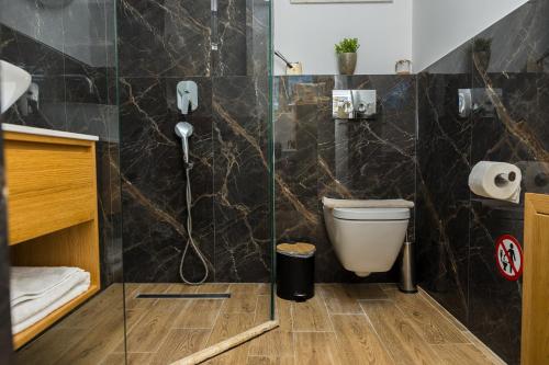 a bathroom with a shower and a toilet at Nikiti Dream Villas in Nikiti