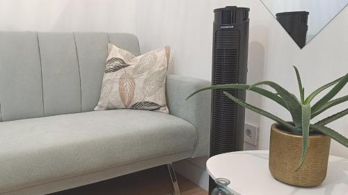 a chair and a plant in a living room at Apto pet-friendly, 2 plazas de garaje y balcón in Vigo