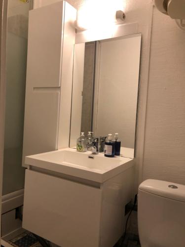 une salle de bain avec un lavabo et un miroir et des toilettes dans l'établissement Apparemment t2 climatisé centre ville parking privée, à Montpellier