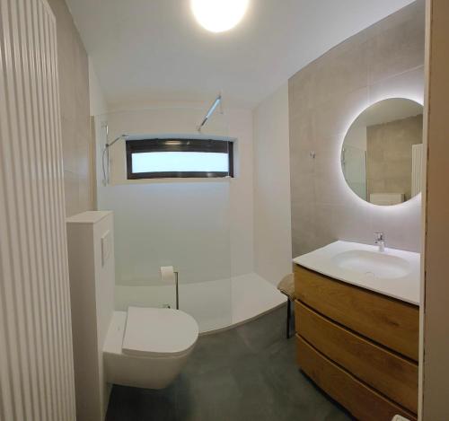 a bathroom with a sink and a toilet and a mirror at Brelaarheide in Aan de Wolfsberg
