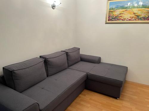 eine Couch in einem Wohnzimmer mit einem Bild an der Wand in der Unterkunft Apartments Sun Rogoznica in Podglavica