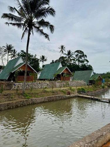 a house with a palm tree next to a body of water at Curug Goong Resort in Subang