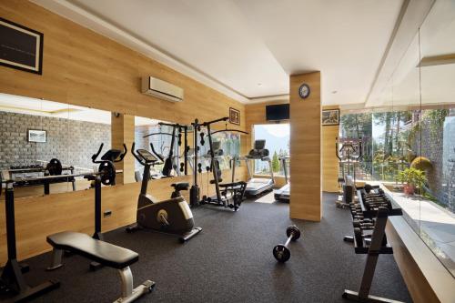 a gym with a lot of exercise equipment in a room at Deventure Shimla Hills in Kandāghāt