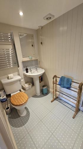 a bathroom with a toilet and a sink at Workshop in Saint Mawes