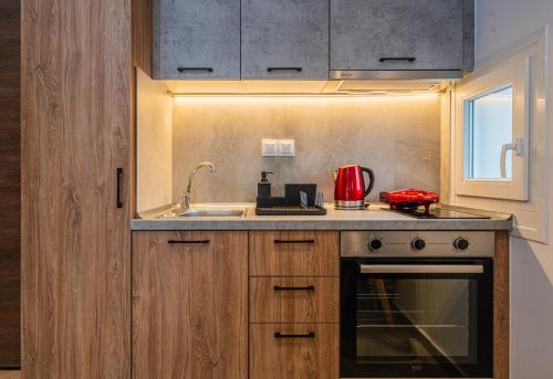 a kitchen with a sink and a counter top at Ark Urban Living in Kozani