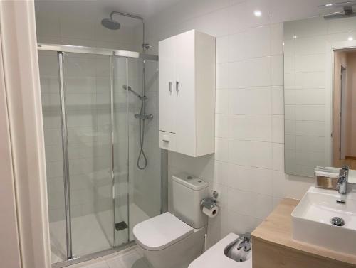 a bathroom with a shower and a toilet and a sink at Apartamentos Turisticos de Soria Collado 3 in Soria