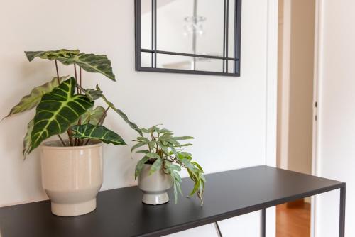 two potted plants sitting on a black table at Hotel & Apartments Bibois Leuven in Oud-Heverlee
