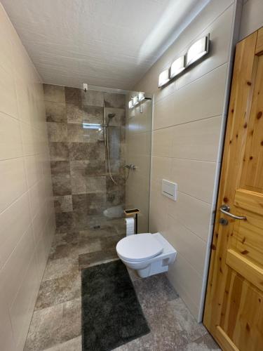 a bathroom with a toilet and a shower at Lodge am Fluss in Tamsweg