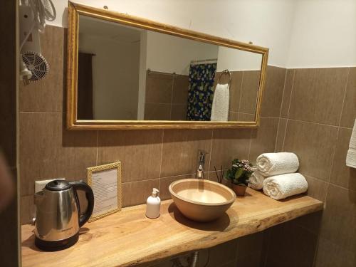 a bathroom counter with a sink and a mirror at Hotel Village del Sol in Puerto Iguazú