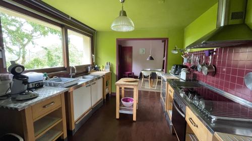 a kitchen with green walls and a large window at Gîte Le Cot à partager in Sainte-Colome