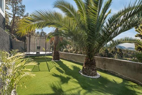a garden with two palm trees and a fence at Buena - Vista in La Guancha