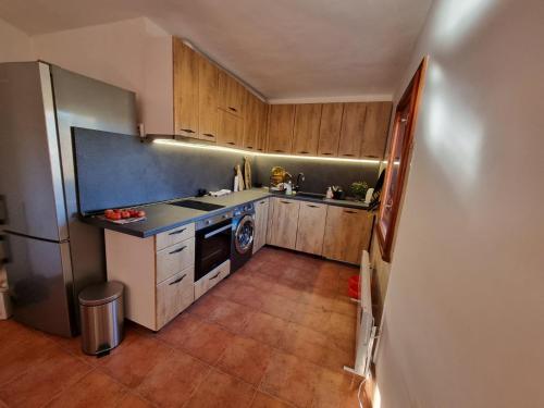 Elle comprend une petite cuisine avec des placards en bois et un réfrigérateur. dans l'établissement BoroVille, à Raduil