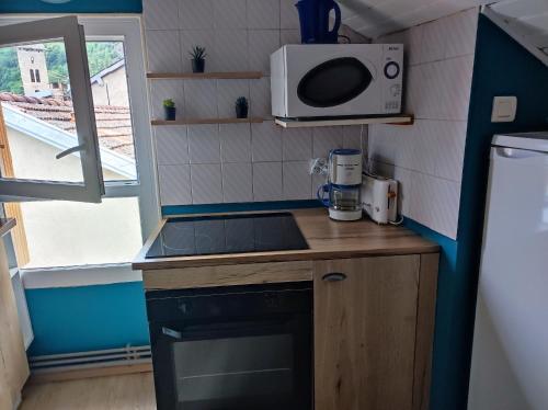 une petite cuisine avec un évier et un micro-ondes dans l'établissement APPARTEMENT Ax Les Thermes, à Ax-les-Thermes