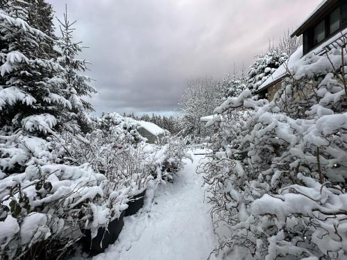 a snow covered garden with a snow covered tree at Waldhotel Zöbischhaus in Bad Reiboldsgrün