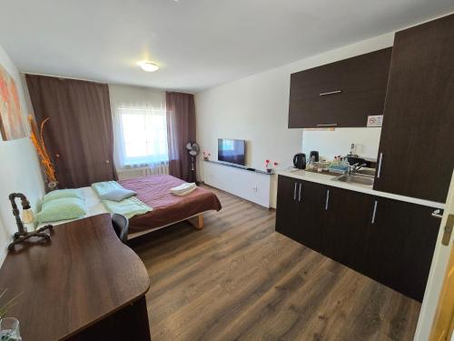 a hotel room with a bed and a kitchen at Z17 River apartment studio in Klaipėda