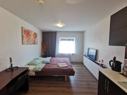 a bedroom with a bed and a television in it at Z17 River apartment studio in Klaipėda