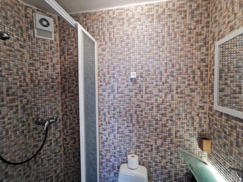 a bathroom with a toilet and a shower with a mirror at Z17 River apartment studio in Klaipėda