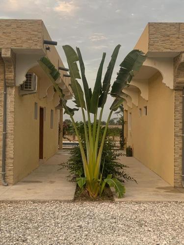 a palm tree in front of a building at Résidence Kanissa in Cap Skirring