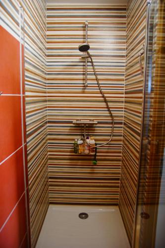 a shower with a hose on a striped wall in a bathroom at Chambre et pièce à vivre bucolique in Saint-Pal-de-Mons