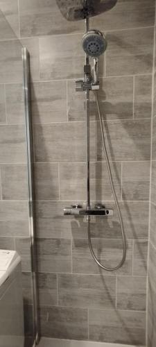 une douche avec pommeau de douche dans une salle de bain dans l'établissement Le Bellevue de la Viotte, à Besançon