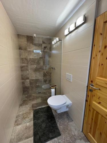 a small bathroom with a toilet and a shower at Lodge am Fluss in Tamsweg