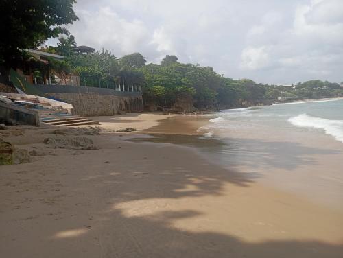 a sandy beach with trees and the ocean at guesthouseparacuru in Paracuru