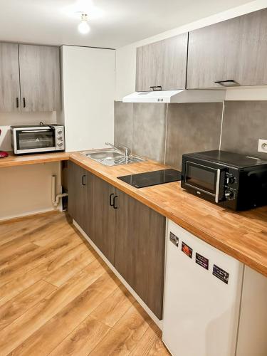 une cuisine avec un comptoir avec un micro-ondes dans l'établissement Studio Atypique Centre Vichy, à Vichy