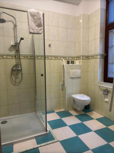 a bathroom with a shower and a toilet at EdMar in Malbork