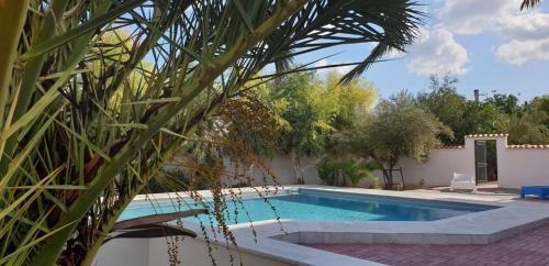 Πισίνα στο ή κοντά στο Villa Macky